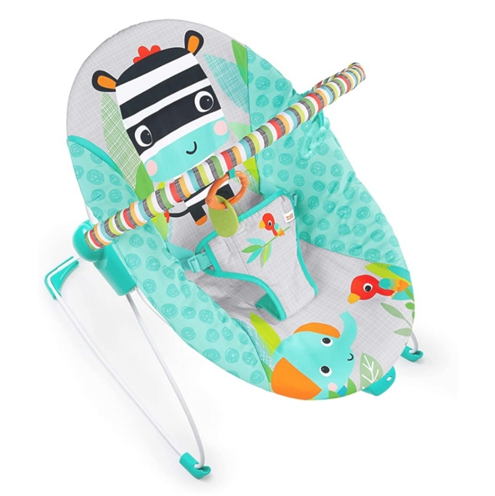 Vibrating Bouncer • New in Box! •